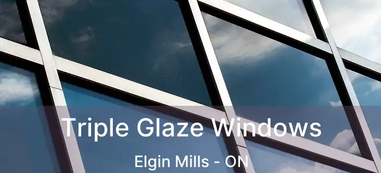  Triple Glaze Windows Elgin Mills - ON