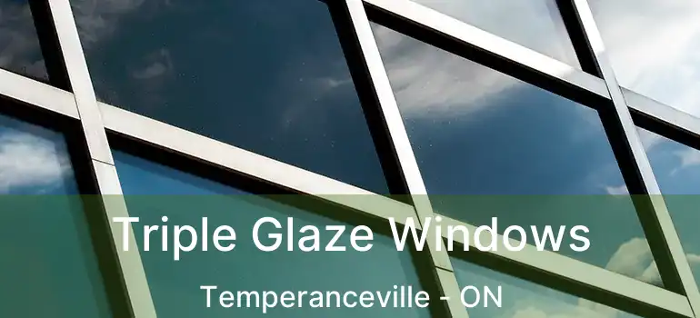  Triple Glaze Windows Temperanceville - ON