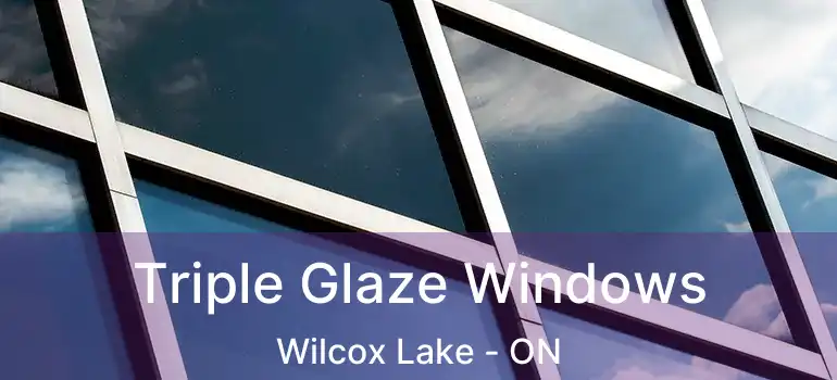  Triple Glaze Windows Wilcox Lake - ON