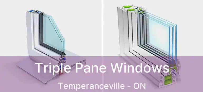  Triple Pane Windows Temperanceville - ON