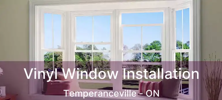  Vinyl Window Installation Temperanceville - ON
