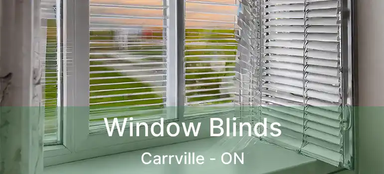  Window Blinds Carrville - ON