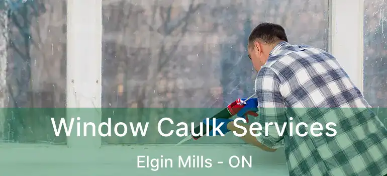  Window Caulk Services Elgin Mills - ON