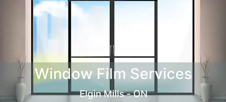  Window Film Services Elgin Mills - ON