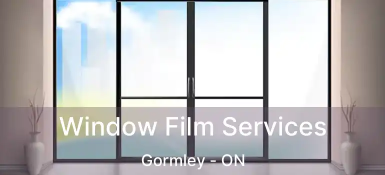  Window Film Services Gormley - ON
