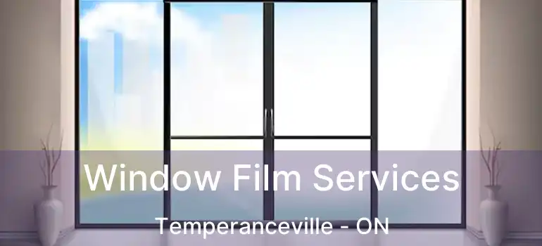 Window Film Services Temperanceville - ON
