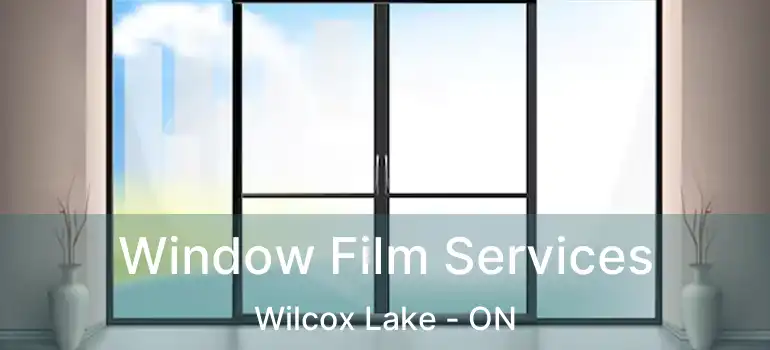  Window Film Services Wilcox Lake - ON