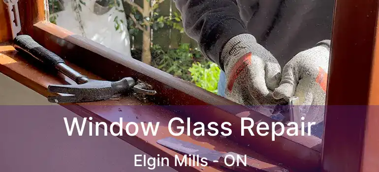  Window Glass Repair Elgin Mills - ON
