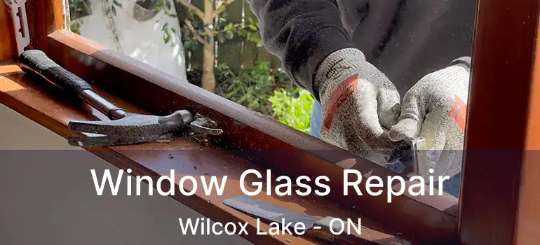  Window Glass Repair Wilcox Lake - ON