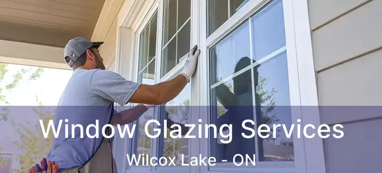  Window Glazing Services Wilcox Lake - ON