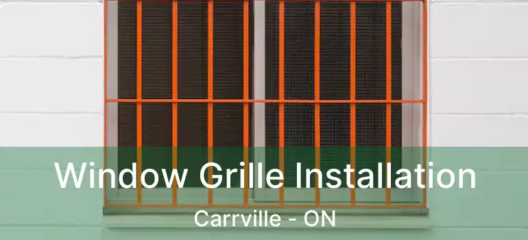  Window Grille Installation Carrville - ON