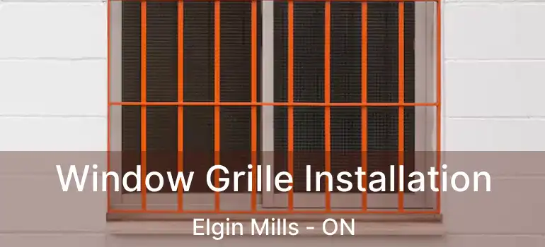  Window Grille Installation Elgin Mills - ON