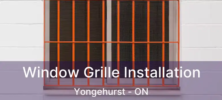  Window Grille Installation Yongehurst - ON