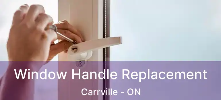  Window Handle Replacement Carrville - ON