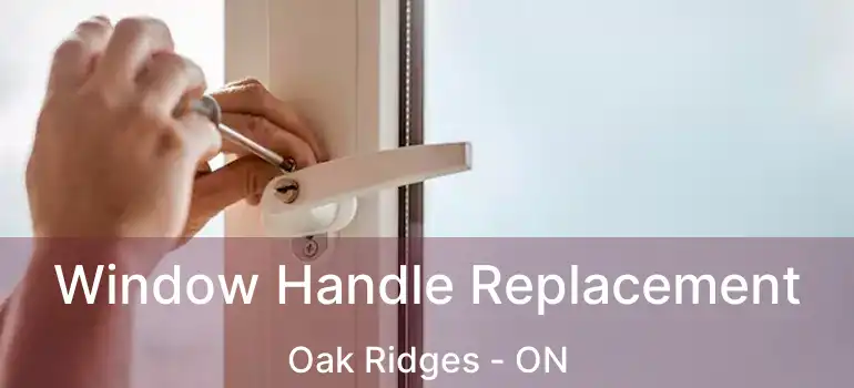  Window Handle Replacement Oak Ridges - ON
