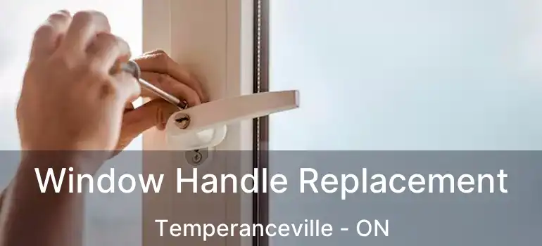  Window Handle Replacement Temperanceville - ON