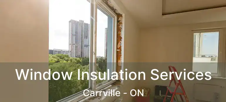  Window Insulation Services Carrville - ON