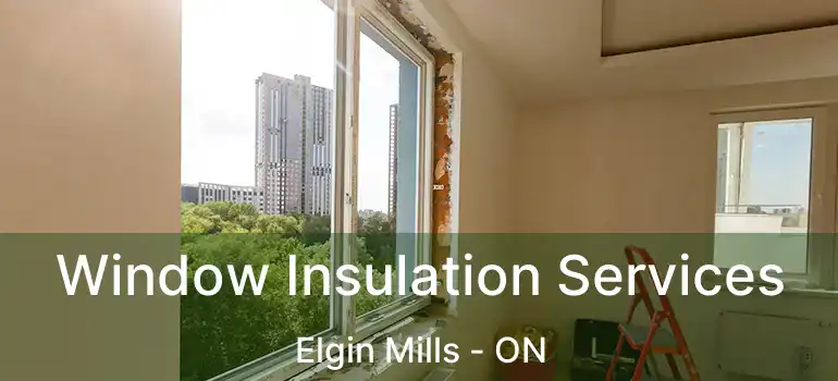  Window Insulation Services Elgin Mills - ON
