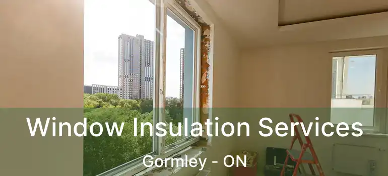  Window Insulation Services Gormley - ON