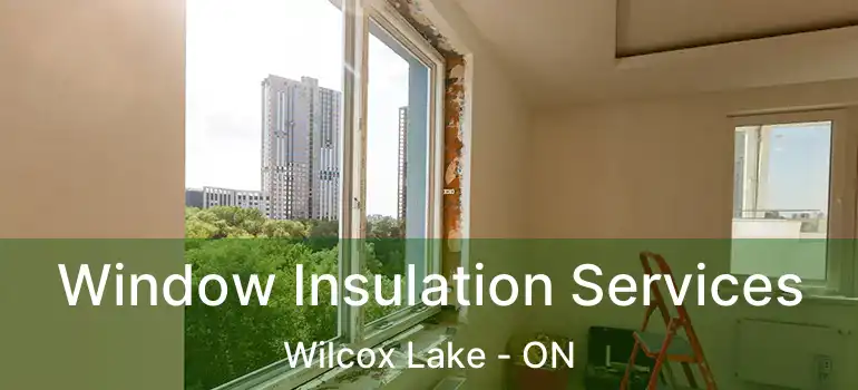  Window Insulation Services Wilcox Lake - ON