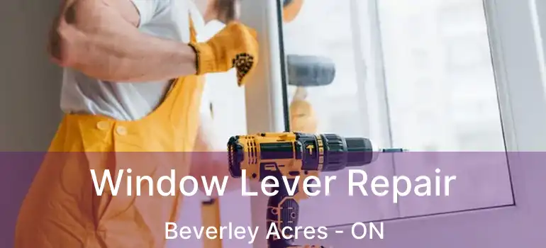  Window Lever Repair Beverley Acres - ON