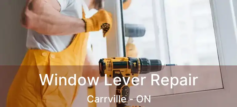  Window Lever Repair Carrville - ON