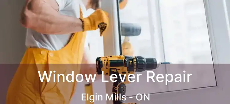  Window Lever Repair Elgin Mills - ON