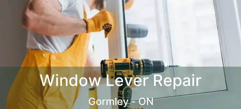  Window Lever Repair Gormley - ON