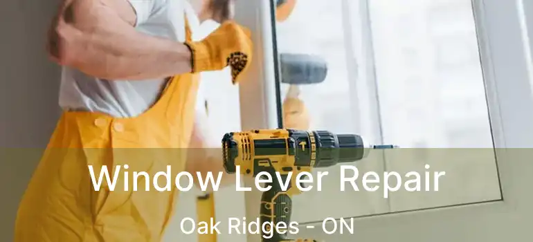  Window Lever Repair Oak Ridges - ON