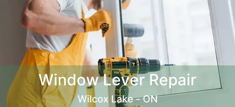  Window Lever Repair Wilcox Lake - ON