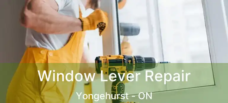  Window Lever Repair Yongehurst - ON