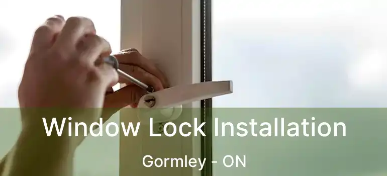  Window Lock Installation Gormley - ON