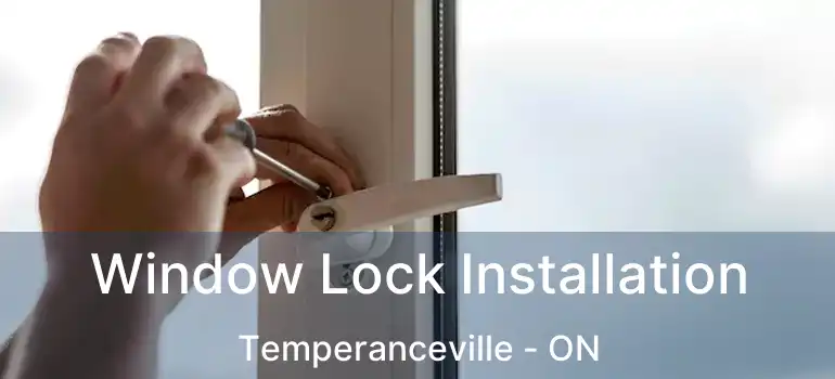  Window Lock Installation Temperanceville - ON