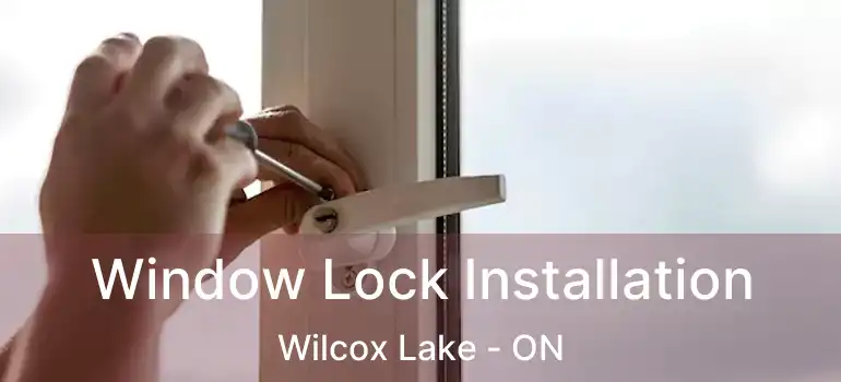  Window Lock Installation Wilcox Lake - ON