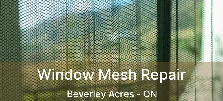  Window Mesh Repair Beverley Acres - ON