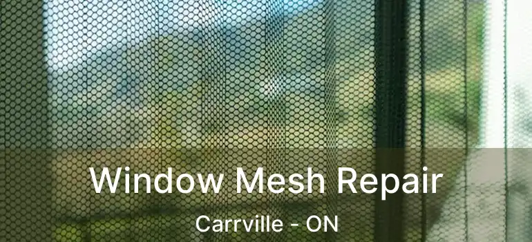  Window Mesh Repair Carrville - ON