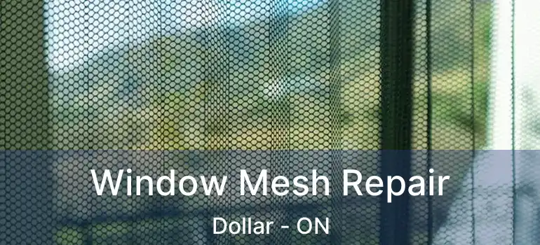  Window Mesh Repair Dollar - ON