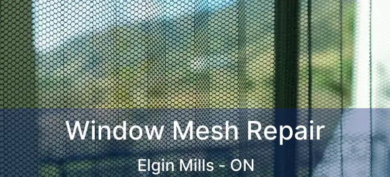  Window Mesh Repair Elgin Mills - ON