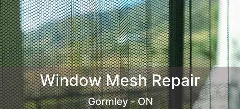  Window Mesh Repair Gormley - ON