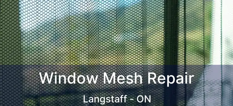  Window Mesh Repair Langstaff - ON