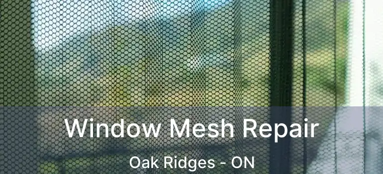  Window Mesh Repair Oak Ridges - ON