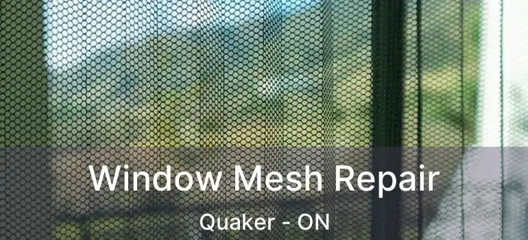  Window Mesh Repair Quaker - ON