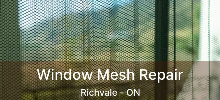 Window Mesh Repair Richvale - ON