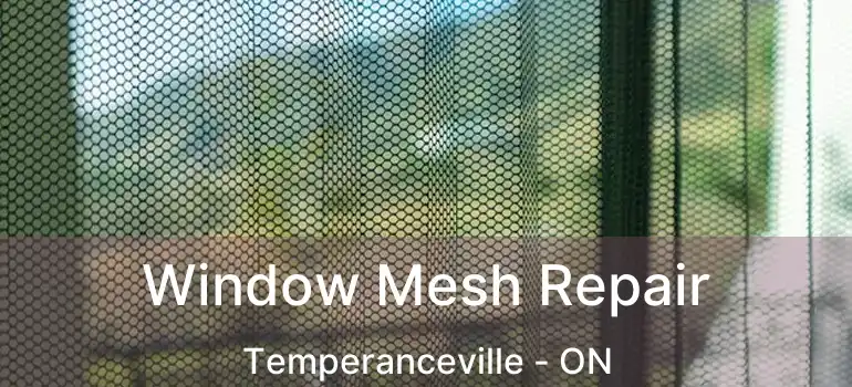  Window Mesh Repair Temperanceville - ON
