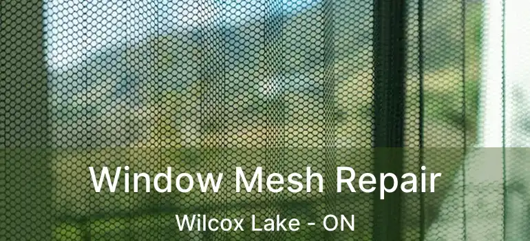  Window Mesh Repair Wilcox Lake - ON