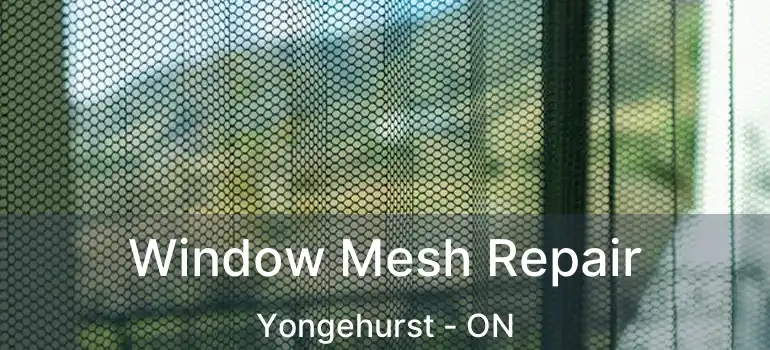  Window Mesh Repair Yongehurst - ON