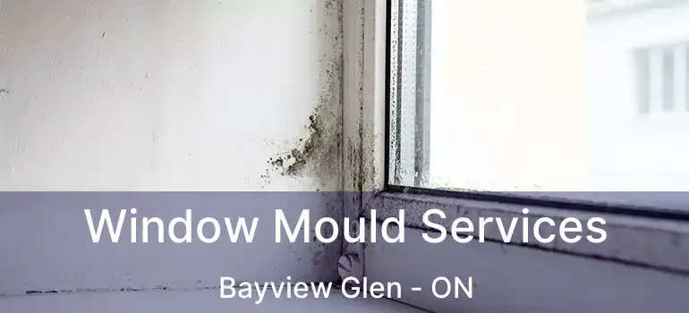  Window Mould Services Bayview Glen - ON
