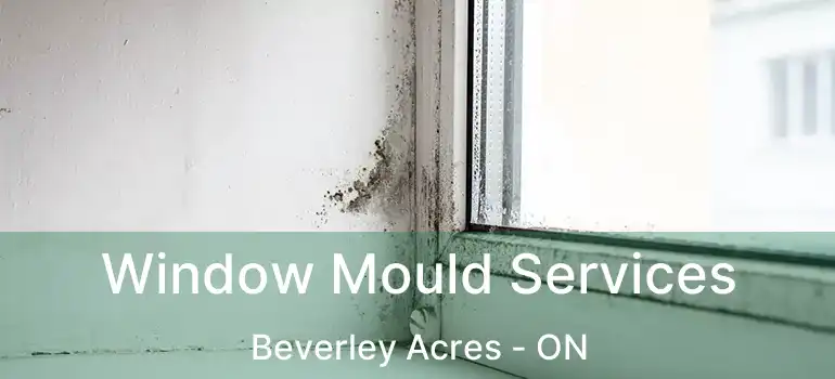  Window Mould Services Beverley Acres - ON