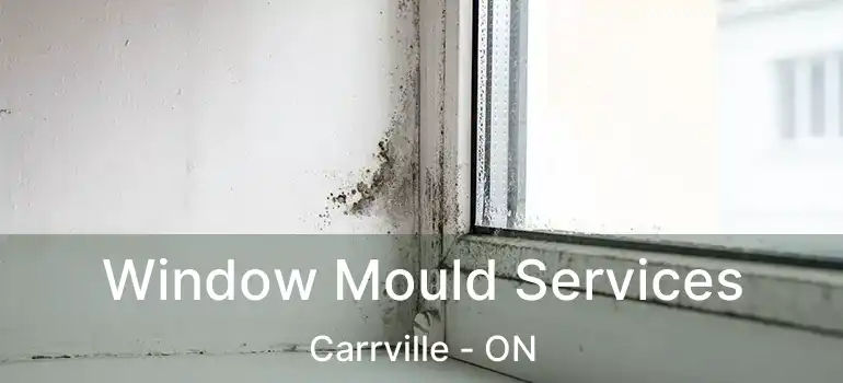  Window Mould Services Carrville - ON