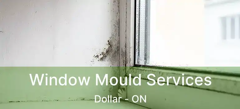  Window Mould Services Dollar - ON